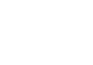 the-kooples